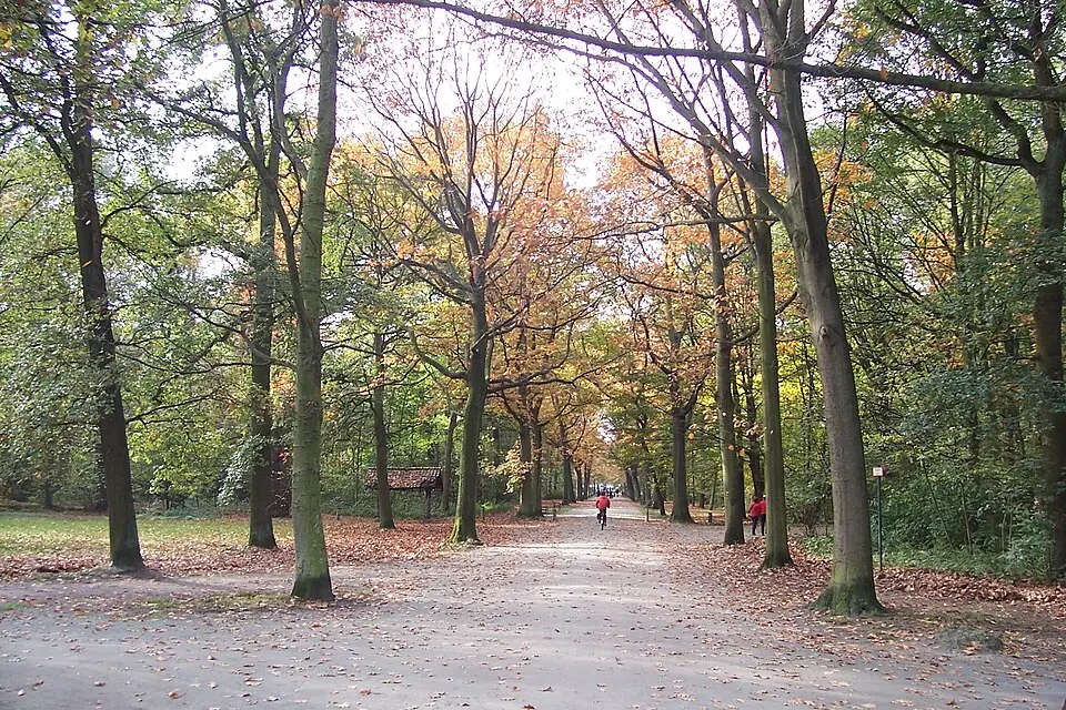 parc des Rossignols