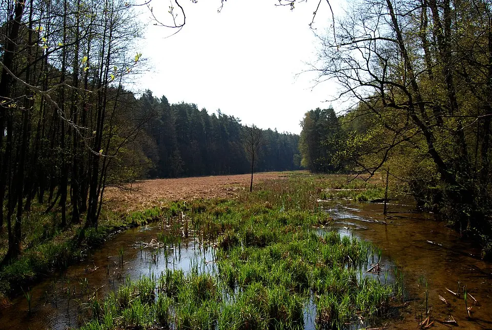 Tucholski Park Krajobrazowy