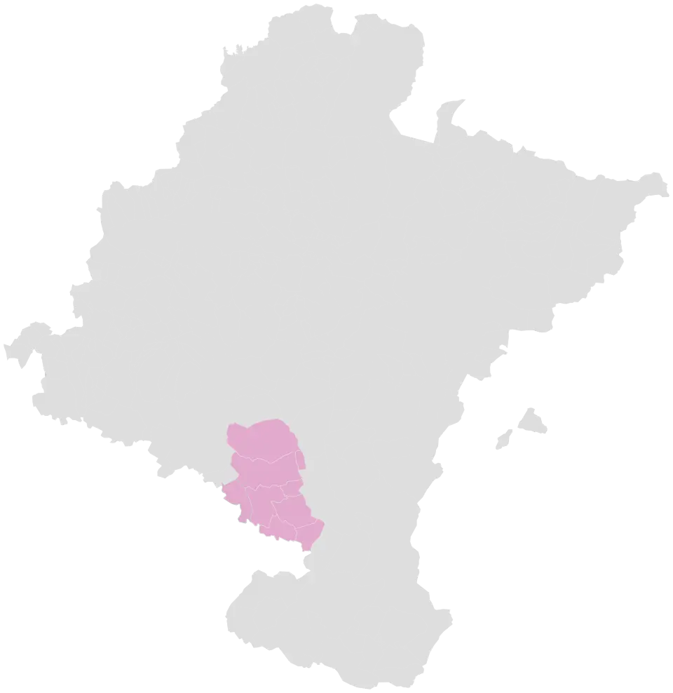 Ribera Alta de Navarra