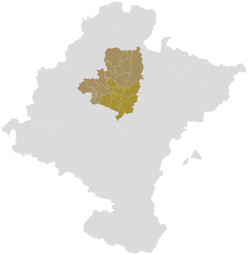 Cuenca de Pamplona