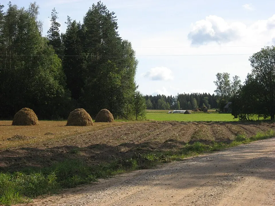Naruski