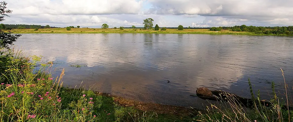 Permisküla