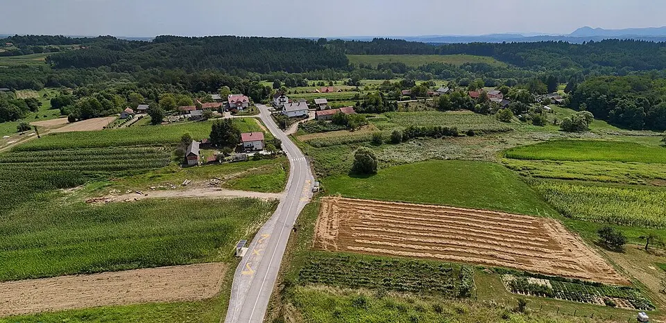 Korenjak