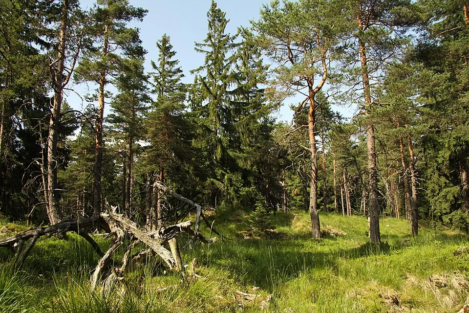 Immagine: Chmee2 · CC BY-SA 3.0 Vlček