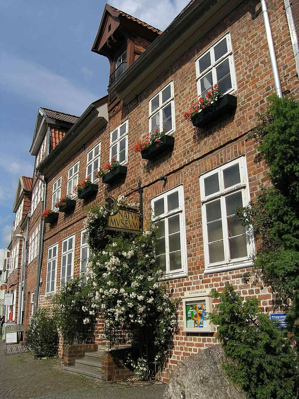 Naturmuseum Lüneburg