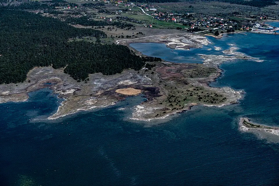 Ålarve