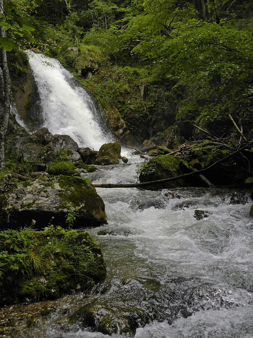 Image: Haeferl · CC BY-SA 3.0 Trefflingfall