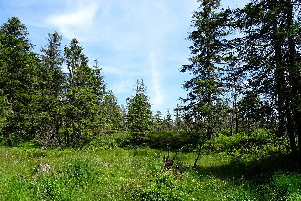 Naravni park Harz