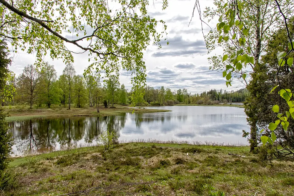 Ettö