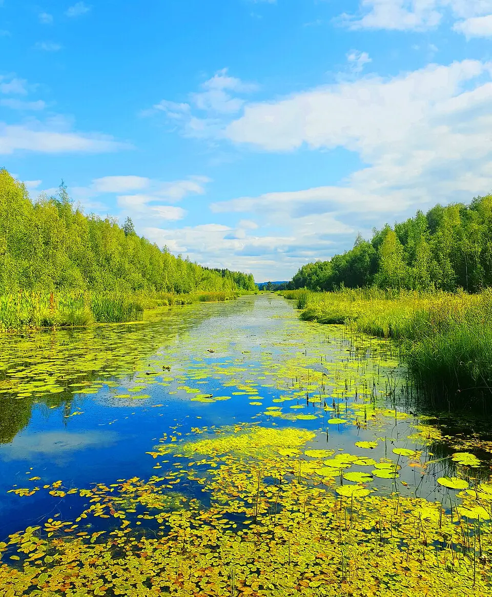 Holmsjöarna