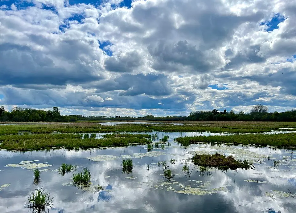 Stadssjön