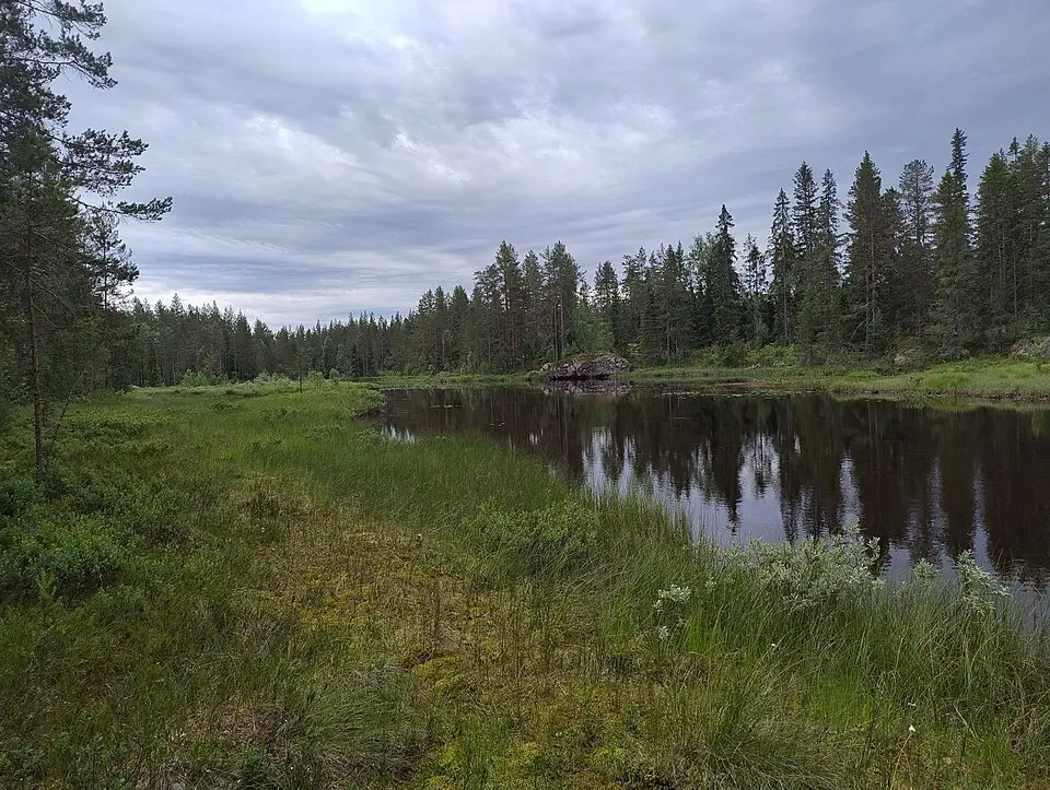 Viertjenna naturreservat