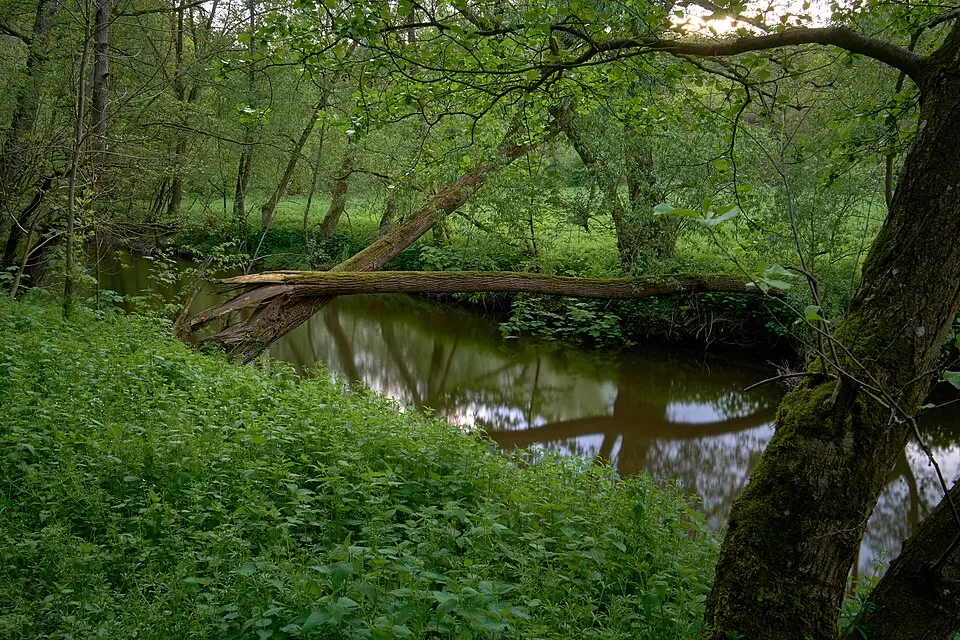 Flussbach