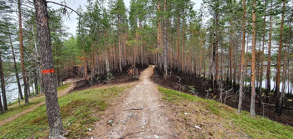 Kammens naturreservat