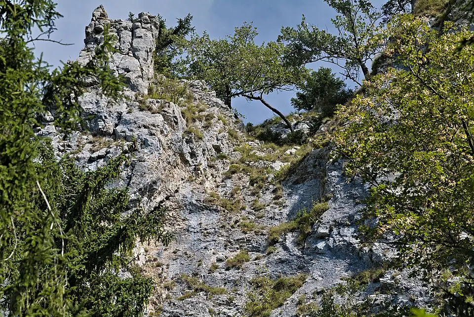 Naturwaldreservat Gaisberg