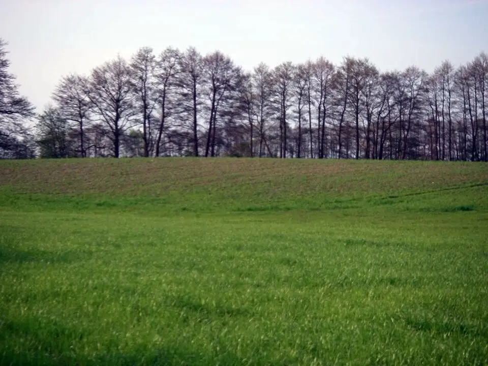 Niederungsburg Naugarten
