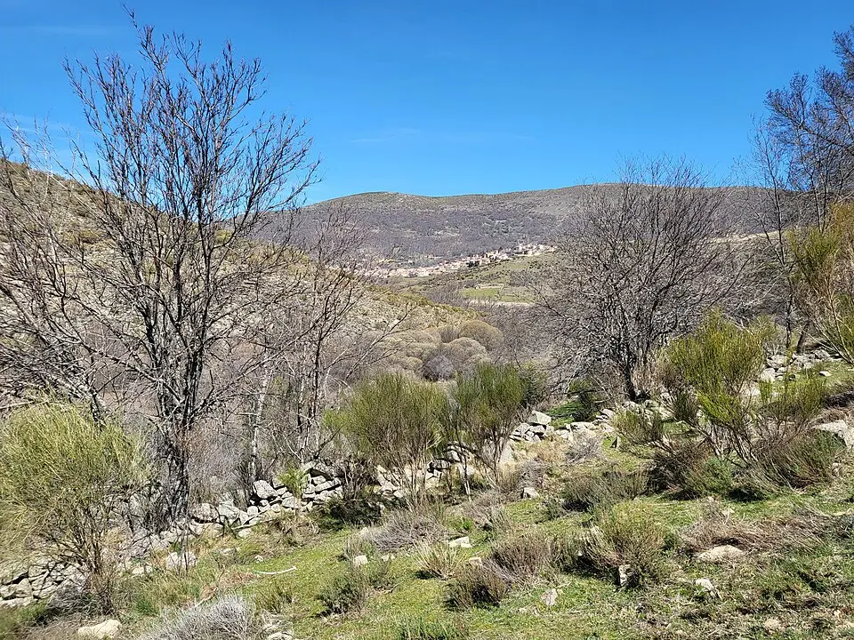 Navacepeda de Tormes