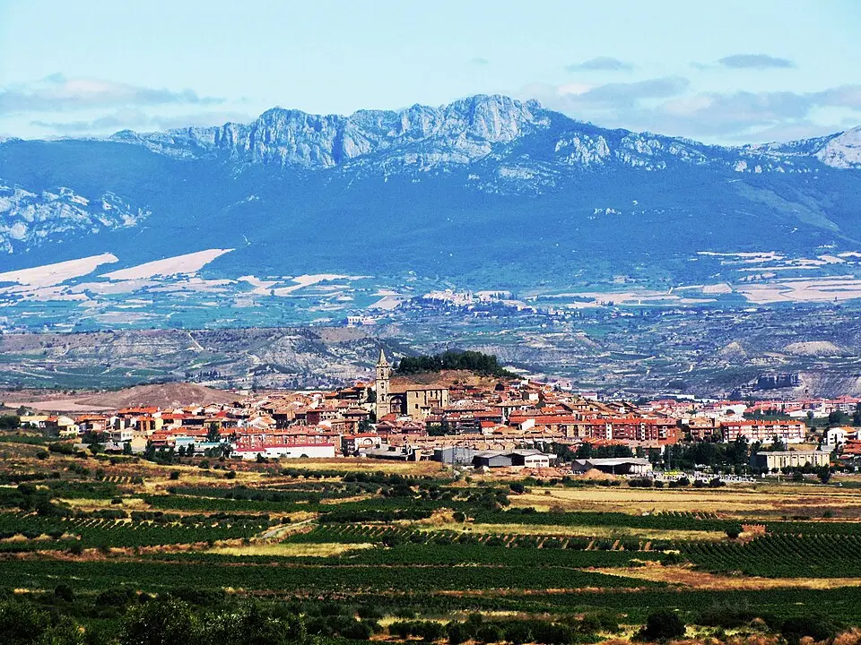 Obrázek: Miguel San Martín Rioja · CC BY-SA 3.0 Navarrete