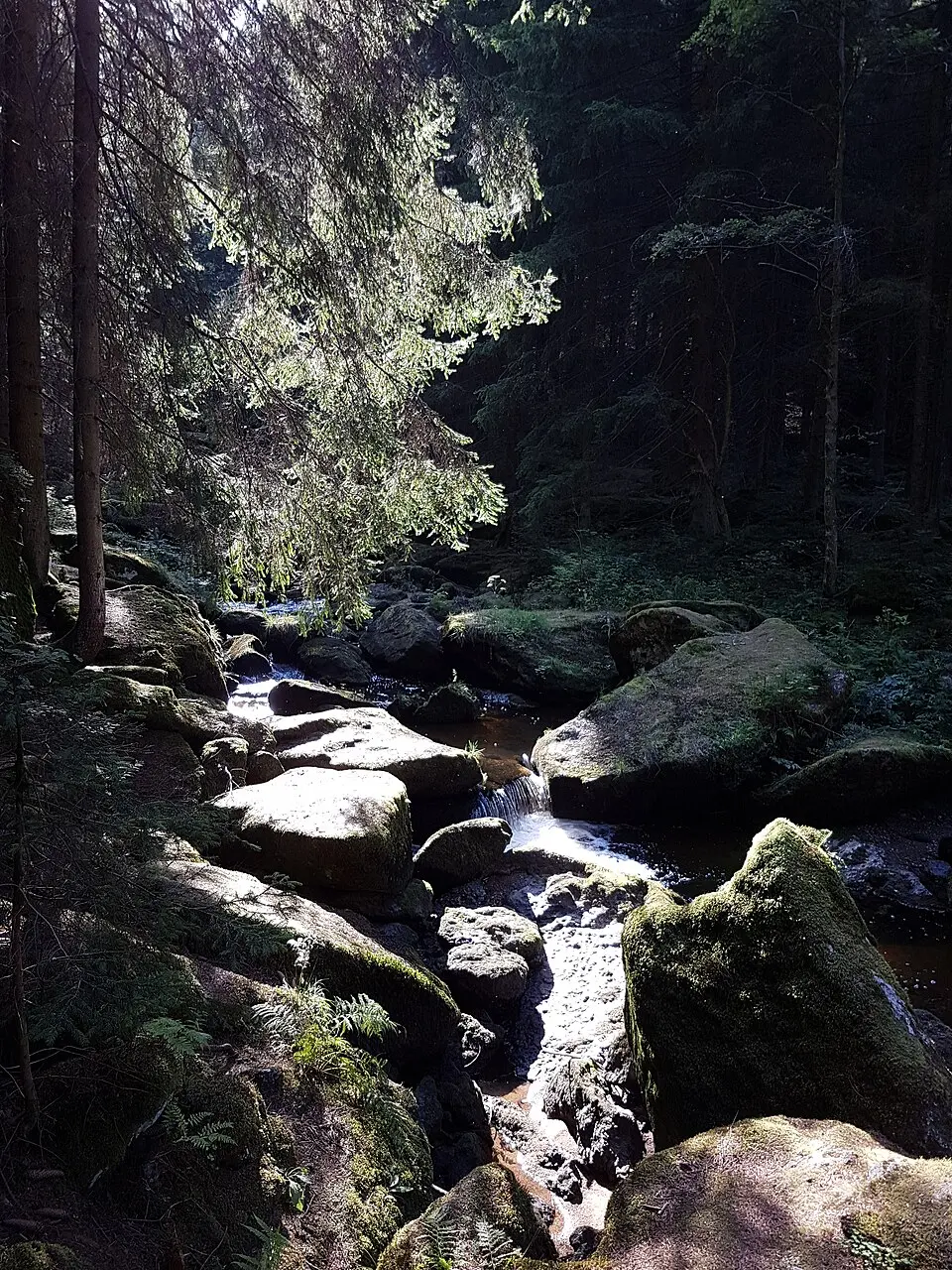 Höllfall
