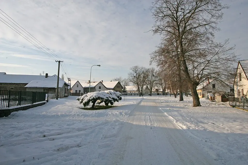 Platěnice
