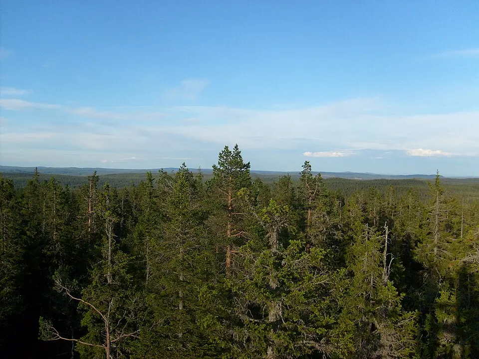 Näcksjövarden