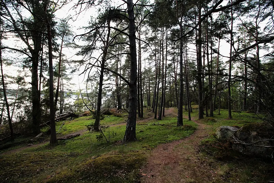 Näsuddens naturreservat
