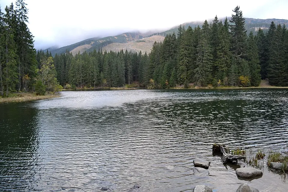 Vrbické pleso