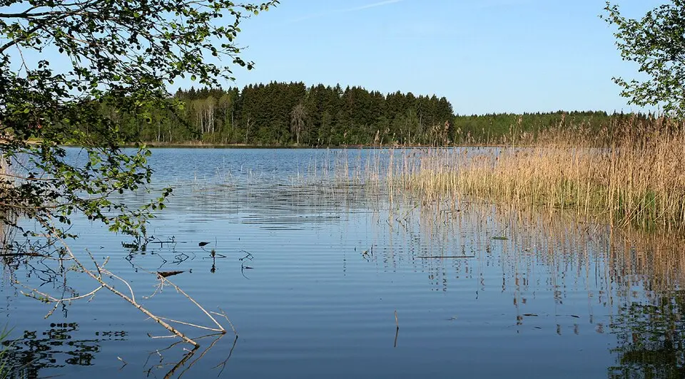 Nõuni järv