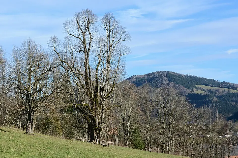 Kaiserkogel