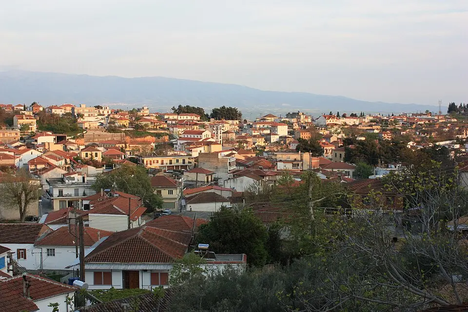 Δήμος Νέας Ζίχνης