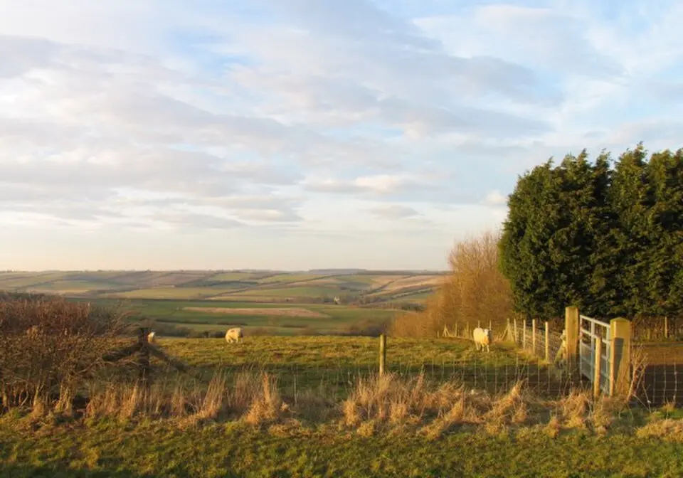 Leighfield