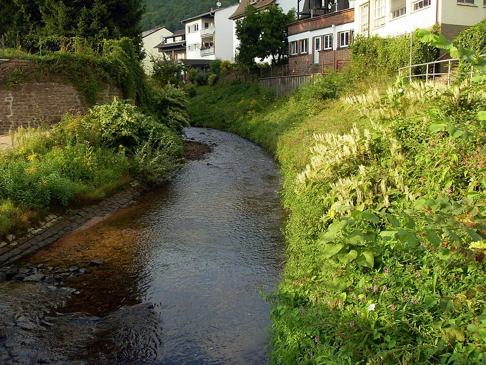 Steinach