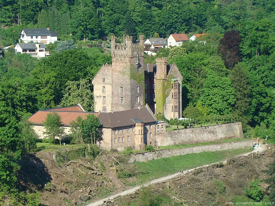Mittelburg (Neckarsteinach)