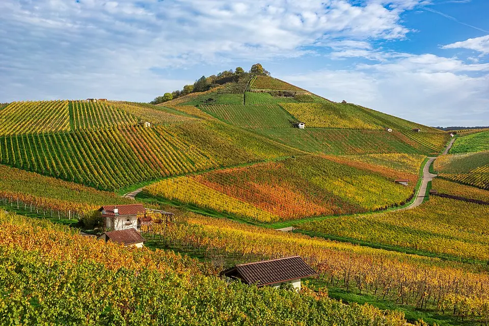 Scheuerberg