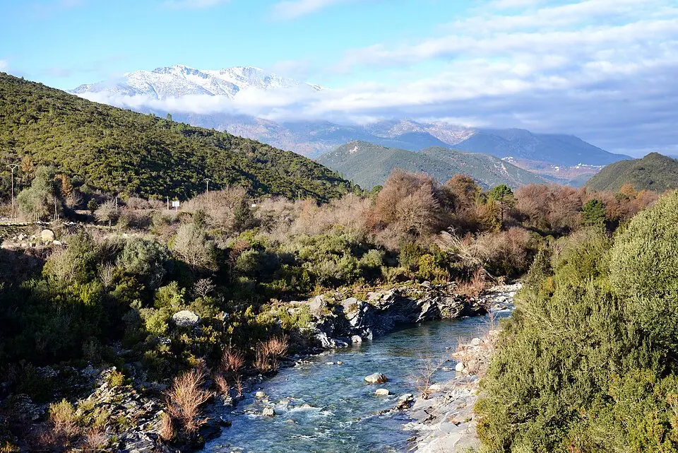 Tavignano
