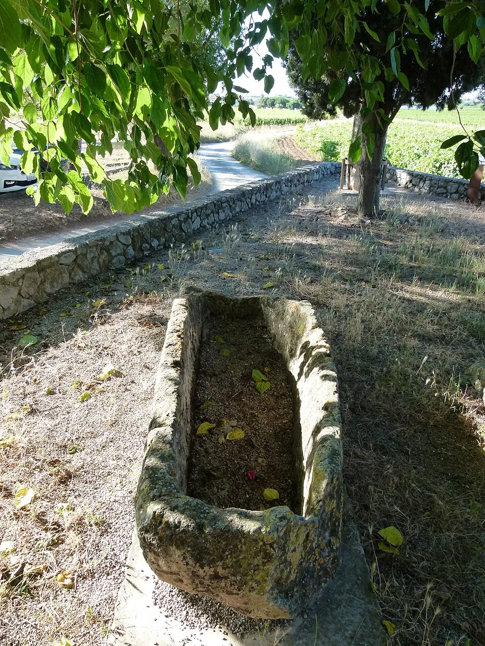 Necròpolis de Sant Pere Molanta