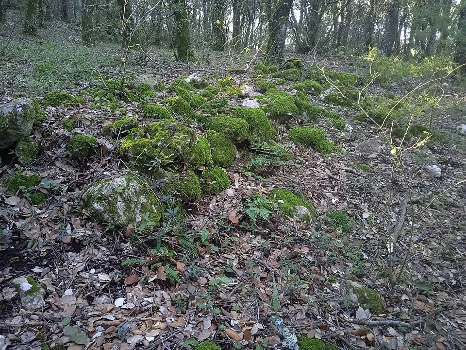 oppidum of Altikogaña