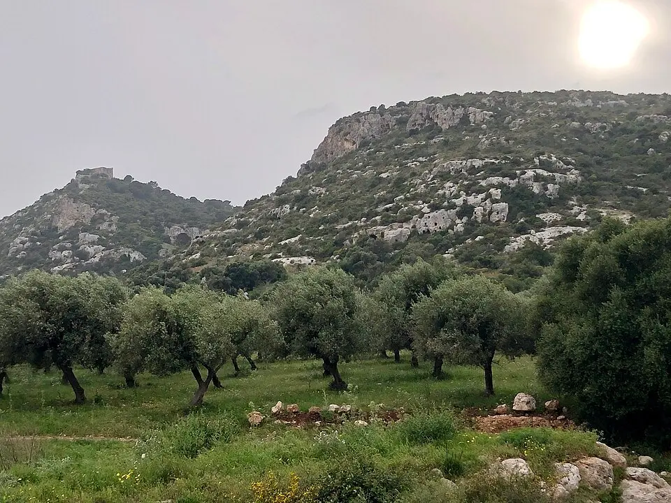 necropoli di Cassibile