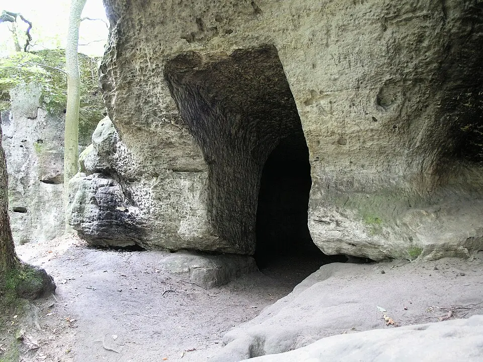 Nedamy