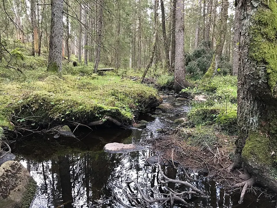Klippans naturreservat