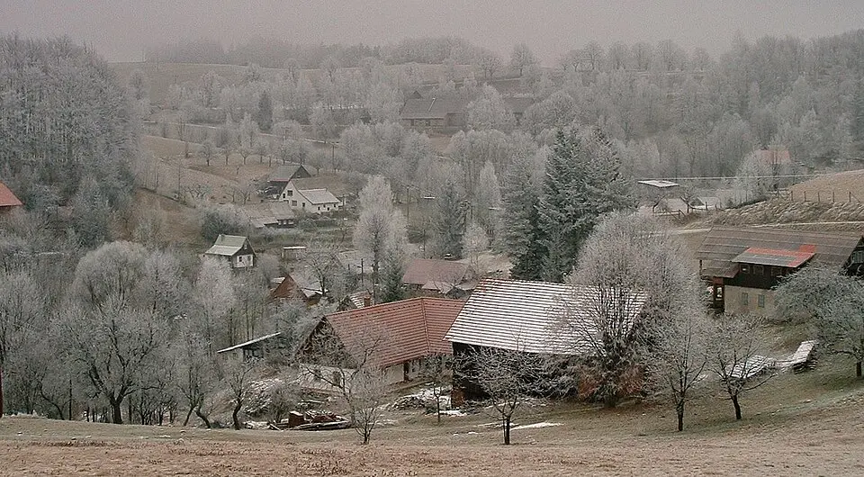 Nedvězí