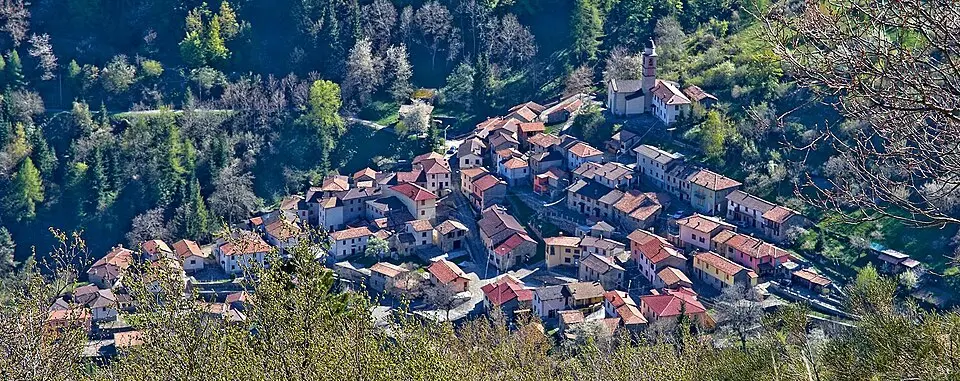 Negruzzo