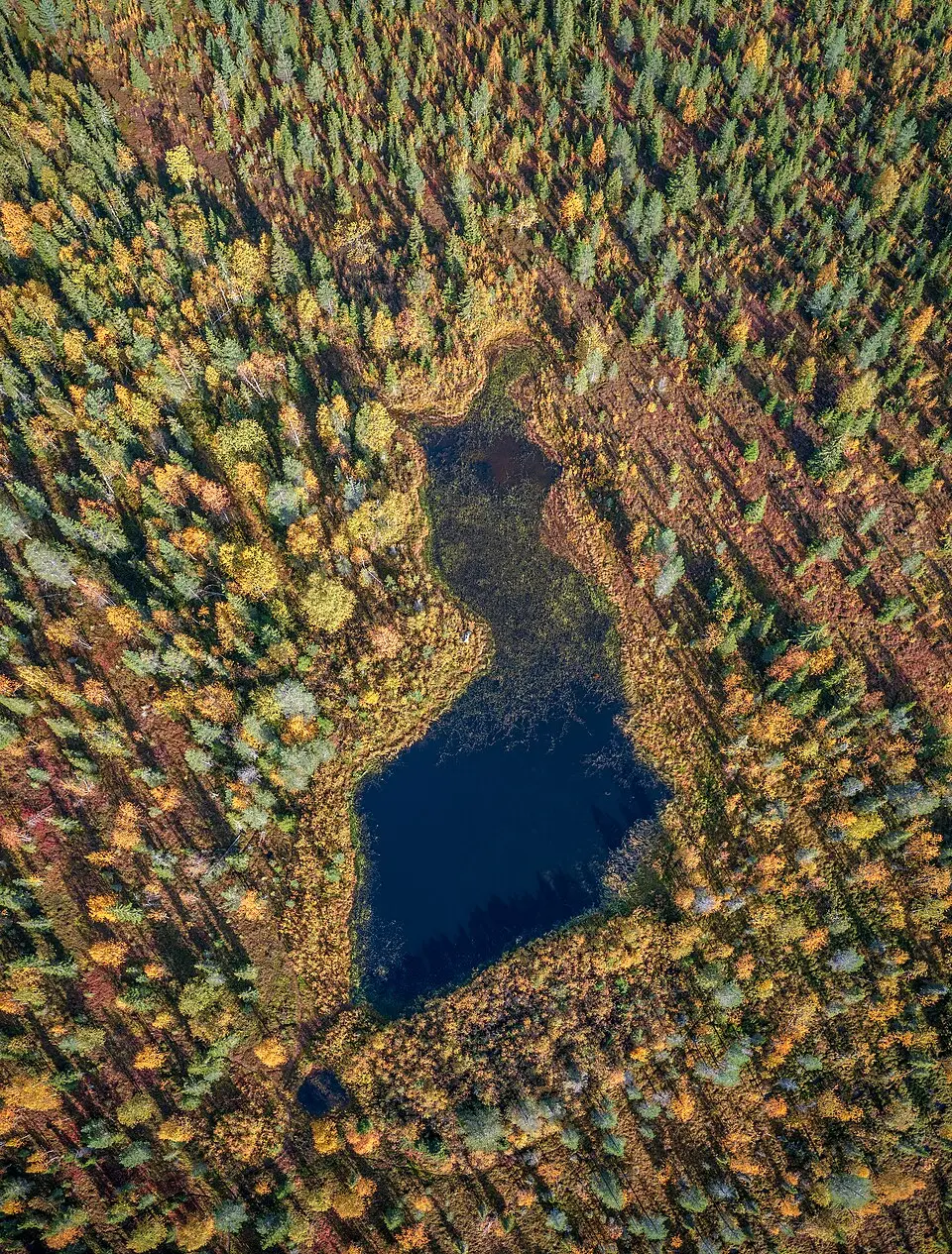 Neitojärvi