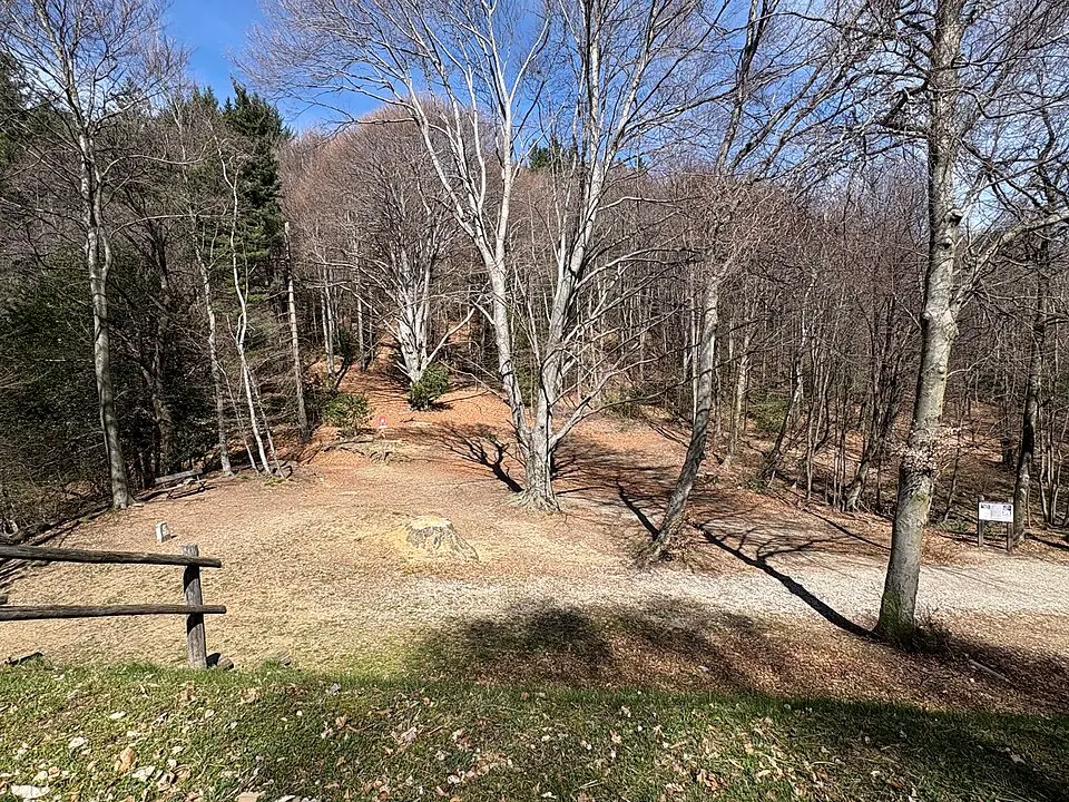 Forcora, Iron Age necropolis