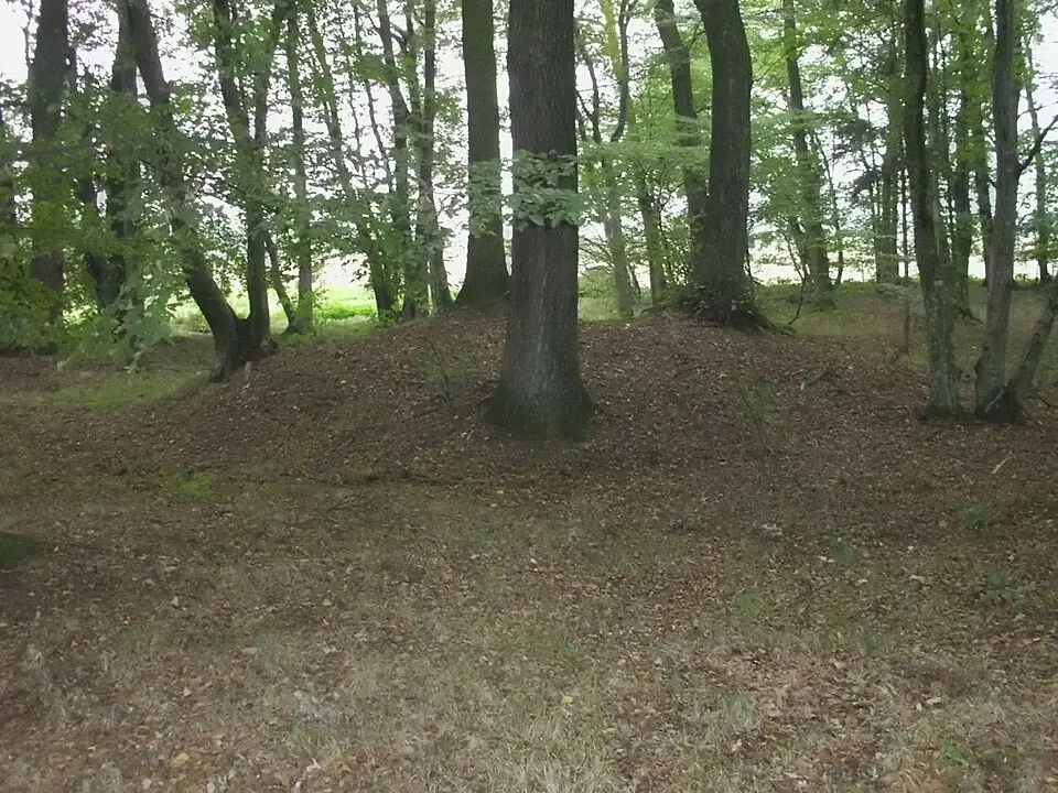 Slika: Norbert Radtke (Dramburg) · CC BY-SA 3.0 Hügelgräber Hügelstaudach