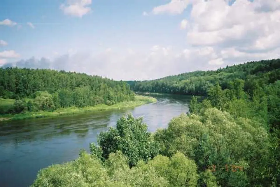 Nemuno kilpų regioninis parkas