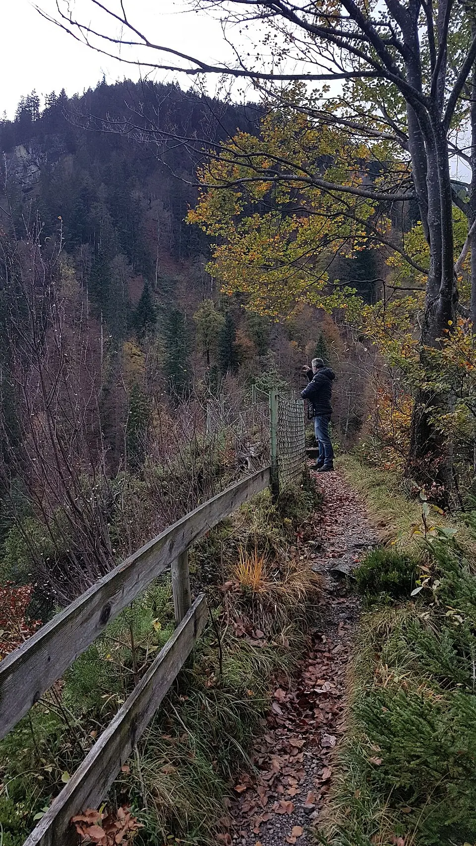 Bild: Rikki Mitterer · CC BY-SA 4.0 Buderhöhe
