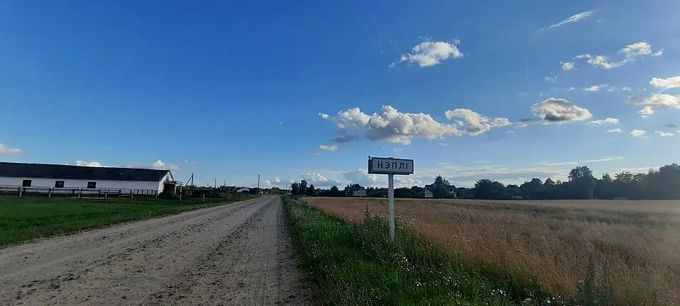 Нэплі