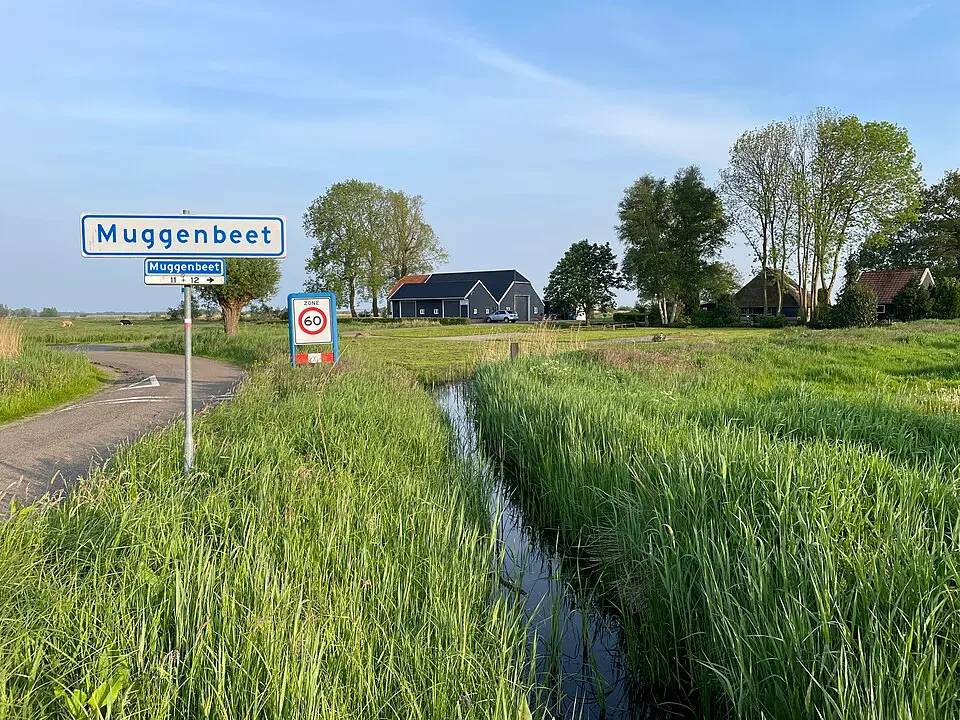 Muggenbeet