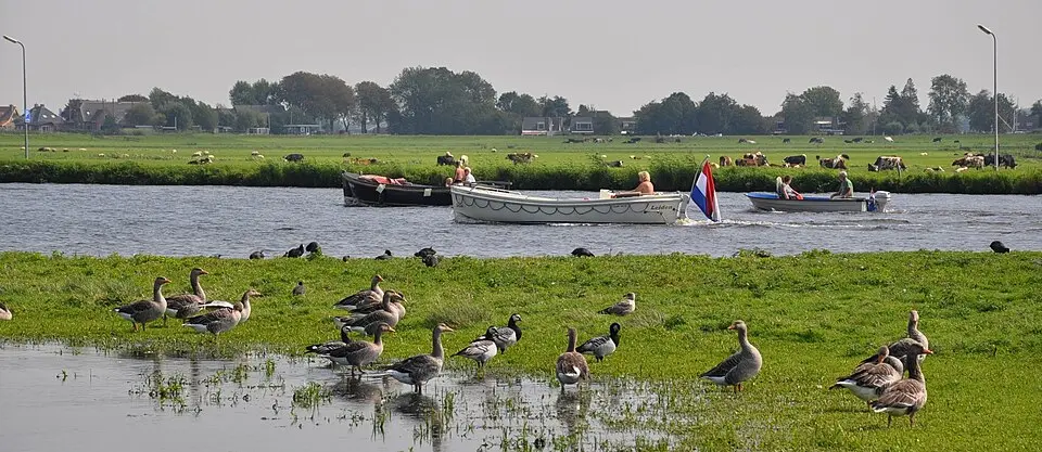 Zijl